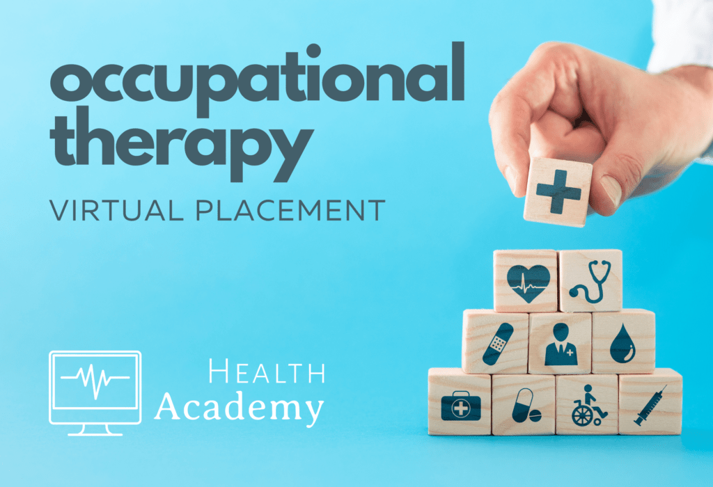 Occupational Health Virtual Placement