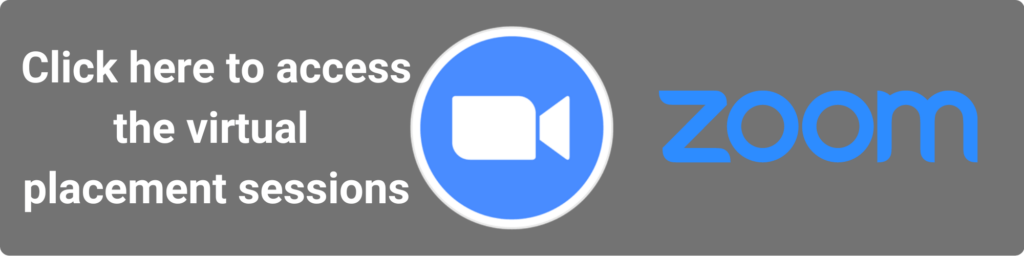 Zoom Link - Virtual Placement 