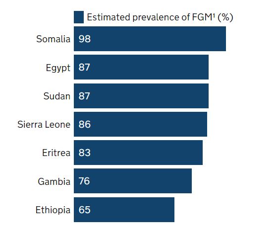 Estimated prevalence of FGM in the UK, Female Genital Mutilation, Travel Health