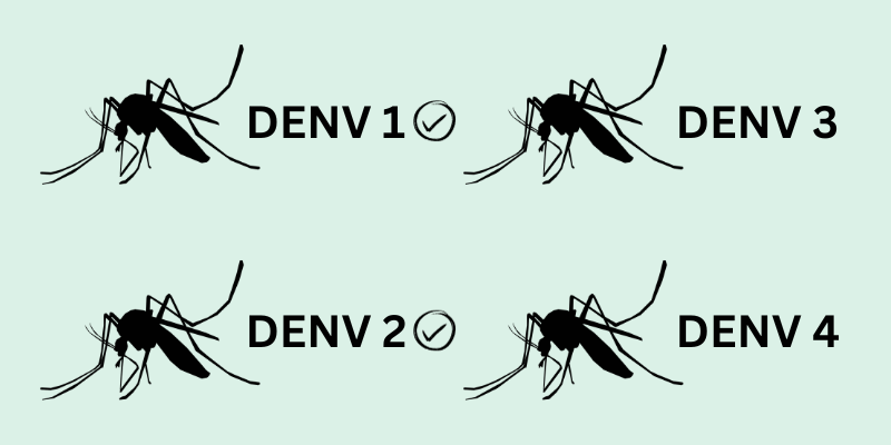 Image showing the 4 serotypes of dengue virus