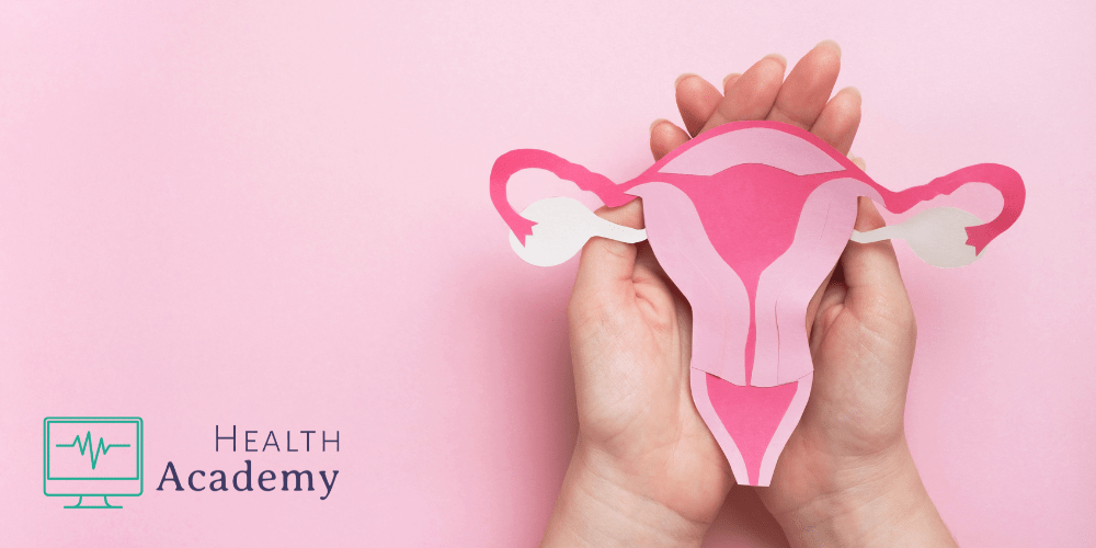 Women’s Health for Primary Care Clinicians  – Certificate Course