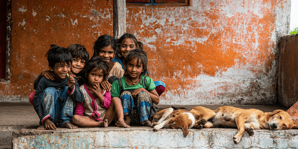 rabies vaccine for travellers