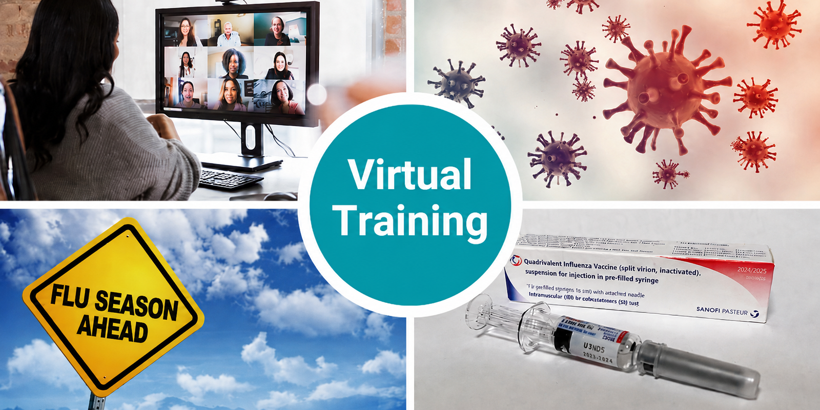 Virtual Flu Training