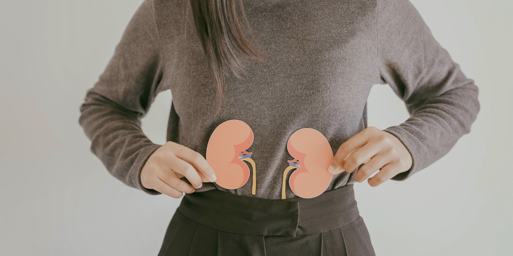 Image showing a women holding image depicting kidneys. Chronic Kidney Disease CKD