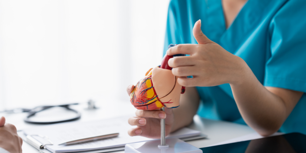 Image showing a nurse educating a patient on their heart anatomy
Heart Month